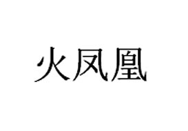 派臣簽約“重慶火鳳凰信息技術(shù)有限公司”建官網(wǎng)